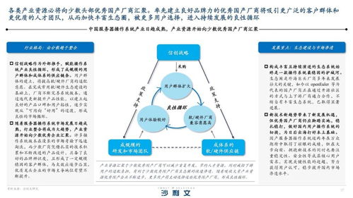 信創(chuàng)需求激增 國產(chǎn)服務(wù)器操作系統(tǒng)賦能數(shù)字化轉(zhuǎn)型，信息系統(tǒng)運行維護(hù)服務(wù)邁入新階段